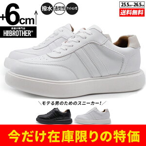 Xj[J[ V[NbgV[Y CrWu g[V[Y 6cm V[NbgXj[J[ wȂ gAbv g グ X^CAbv Gx[V V[Nb