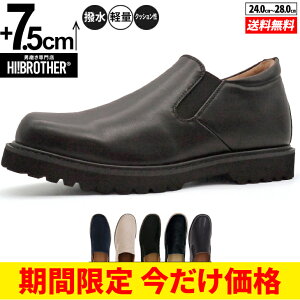 V[NbgV[Y Xj[J[  傫߂̒~ g[V[Y Y V[NbgXj[J[ wȂC C YXj[J[ amC Xj[J[ gAbv q[