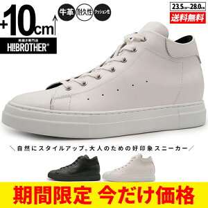 V[NbgV[Y Xj[J[  傫߂̒~ g[V[Y Y V[NbgXj[J[ wȂC nCJbg vC C YXj[J[ C amC Xj[J