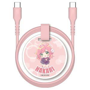 yubNtCf[Io_Z[1eIz100Jm ObY USB-C[dP[u ^CvC 60Wf[^ʐMΉ 炩 1.0m ԉ H sN N̂ƂD100l̔ޏ iPhone@