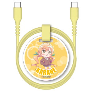 ycVbvz100Jm ObY USB-C[dP[u ^CvC 60Wf[^ʐMΉ 炩 1.0m @c  CG[ N̂ƂD100l̔ޏ iPhone@android@X}z