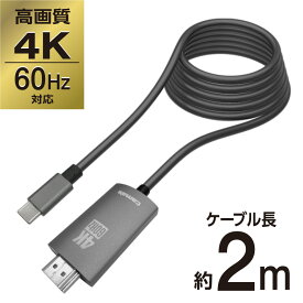 楽天市場 Usb Type C オルタネートモード Tv オーディオ カメラ の通販