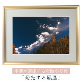 運気が上がる！？ 【奇跡の写真】発光する鳳凰 ≫運気が上がる絵を探している方へ！飾るだけで幸運が連鎖すると話題！秋元隆良の開運フォト作品 奇跡の写真シリーズから『鳳凰（発光）』をご紹介！美しい鳳凰が舞う！これほどハッキリ写るとは・・・