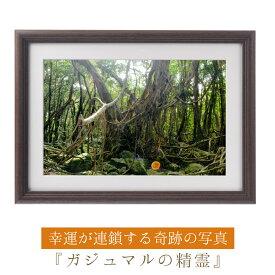 運気が上がる！？ 【奇跡の写真】ガジュマルの精霊 ≫運気が上がる絵を探している方へ！飾るだけで幸運が連鎖すると話題！秋元隆良の開運フォト作品 奇跡の写真シリーズから『ガジュマルの精霊』をご紹介！沖縄に伝わる座敷童的精霊！気に入られると運気が上がる！