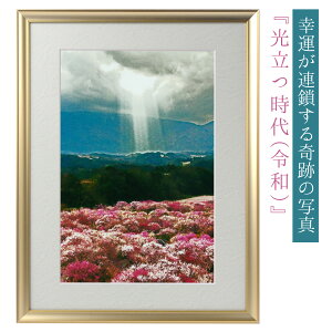 ^CオIH yՂ̎ʐ^ziߘaj ^CオGTĂցI邾ōK^AƘbIHǂ̊J^tHgi ߘa\Ղ̎ʐ^IK