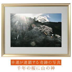 運気が上がる！？ 【奇跡の写真】千年の桜に山の神 ≫運気が上がる絵を探している方へ！飾るだけで幸運が連鎖すると話題！秋元隆良の開運フォト作品 幸運が連鎖すると話題の秋元氏のスピリチュアルフォト！