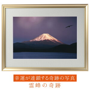 おもちゃ 話題の人気商品 通販 価格比較 価格 Com