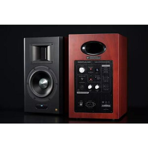 AIRPULSE nC]ΉANeBuXs[J[ A300PRO yA GApX X}zΉXs[J[