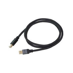 SAEC I[fBIUSBP[u STRATOSPHERE SUS-020 USB A-USB B 2m TGN 2.0m