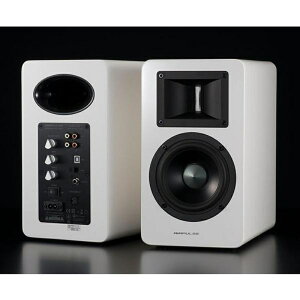 AIRPULSE DACANeBuXs[J[ A100 BT5.0 zCgEnCOX yA GApX X}zΉXs[J[