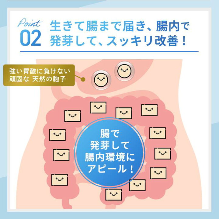 楽天市場】【公式】ラクトロン錠 3袋セット 指定医薬部外品 サプリ 