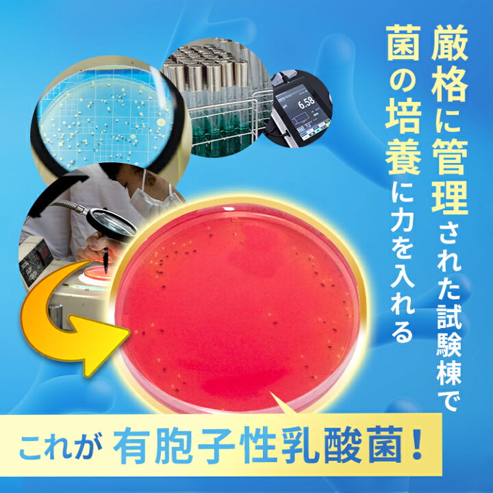 楽天市場】【最大100％ポイントバック！ 4/4 20:00〜4/10 01:59 
