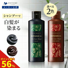 【ポイント最大56倍 11日1時59分まで】シャンプー【公式】ヘアボーテ ボタニカルカラークリームシャンプー 200g【送料無料】選べる2色展開 クリームシャンプー 白髪 シャンプー カラーシャンプー 部分染め 白髪 女性 男性 おすすめ ノンジアミン 汚れない 白髪染めシャンプー