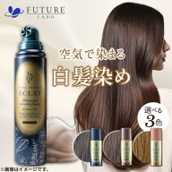 【ポイント10倍】簡単 泡 白髪染め【公式】新登場 ヘアボーテエクラ ボタニカルエアカラーフォームEX 80g…