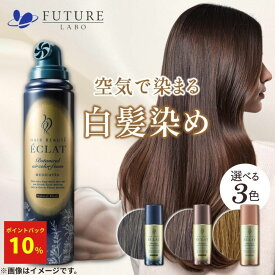 簡単 泡 白髪染め【公式】新登場 ヘアボーテエクラ ボタニカルエアカラーフォームEX 80g/150g【送料無料】5分染め 医薬部外品 女性用 男性用 全体染め 部分染め ヘアカラー 手袋付き ムース 生え際 選べる3色