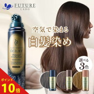 【ポイント10倍！】簡単 泡 白髪染め【公式】新登場 ヘアボーテエクラ ボタニカルエアカラーフォームEX 8…