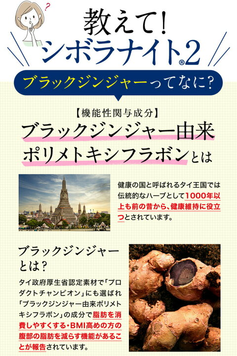 楽天市場】【10%ポイントバック中！】【公式】明治薬品 シボラナイト2 シボラナイト2 ダイエットサプリ