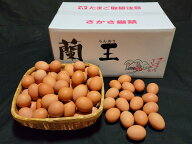こだわりたまご 蘭王 MSサイズ 10kg【133個〜152個＋破損保障40個】　鮮やかな濃いオレンジ色の卵黄色　…