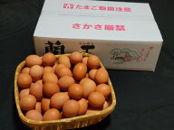こだわりたまご蘭王 Mサイズ 5kg【59個〜66個＋破損保障20個】　鮮やかな濃いオレンジ色の卵黄色　卵　た…