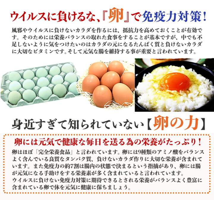 楽天市場 卵 玉子 たまご 高級 卵かけご飯に 有精卵18個入り 生臭さ無し 平飼いでストレスなくのびのび育った純国産鶏 もみじ が産む健康タマゴ 筋トレ 生卵を飲む方もおすすめ 平飼い有精卵 ご自宅用 お取り寄せグルメ 田子たまご村 楽天市場店