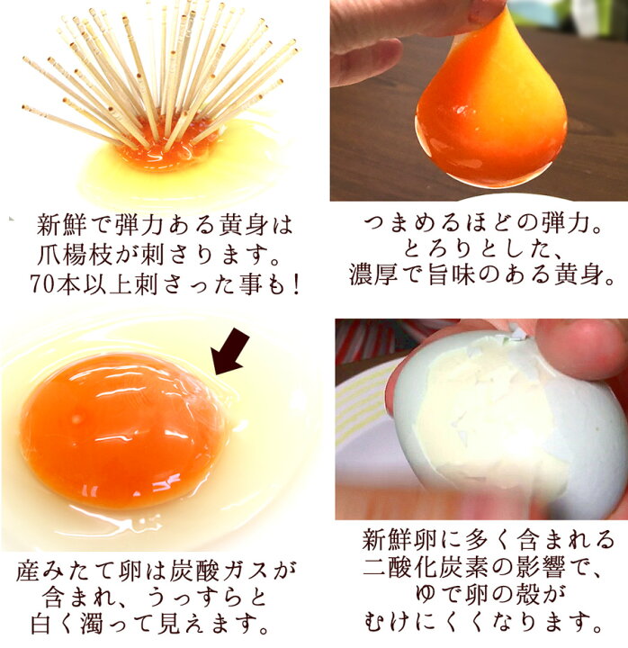 楽天市場 卵 玉子 たまご 高級 卵かけご飯に 緑の一番星 6個入り 3980円以上で送料無料 アローカナの青い卵が進化 大黄卵鶏が産む薄緑殻の高級栄養 タマゴ アスタキサンチン 30 黄身 肉体改造 ダイエット お取り寄せグルメ 田子たまご村 楽天市場店