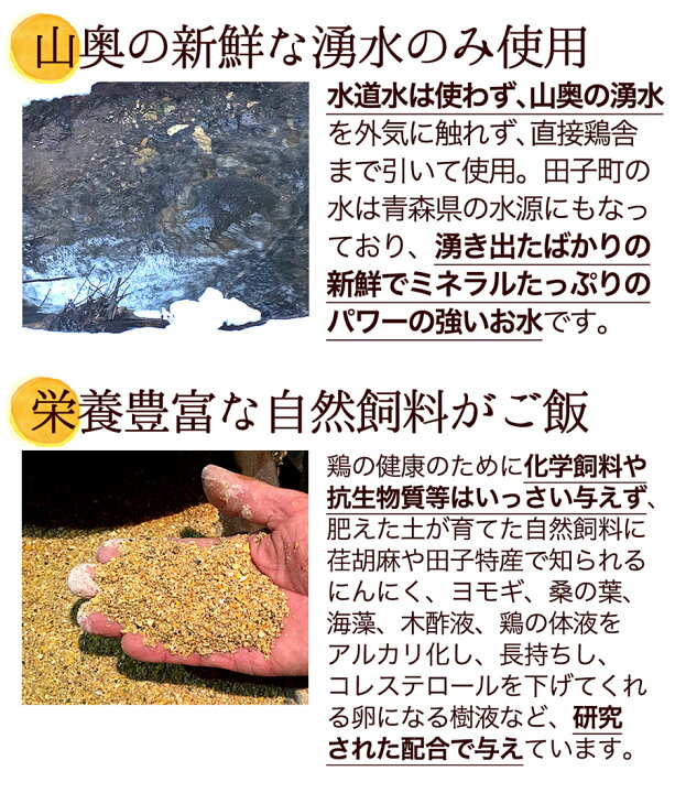 楽天市場 卵 玉子 たまご 高級 卵かけご飯に 緑の一番星 10個入り 3980円以上で送料無料 飲んでも美味 甘く濃厚 生臭さ無 アローカナの青い卵 が進化 大黄卵鶏が産む薄緑殻の高級栄養タマゴ ダイエット ご自宅用 お取り寄せグルメ 田子たまご村 楽天市場店