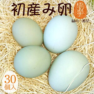    ΂̈Ԑ Yݗ ܂ Mtgy30(25+jۏ5)zgC ߃TCY  A[Ji 剩{Y  ΂̗ ̂ J[h Hו 