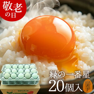 hV̓    ΂̈Ԑ ܂ Mtgy20(16+jۏ4)z A[Ji 剩{Y  uh ΂̗ gC ̂ J[h Hו v