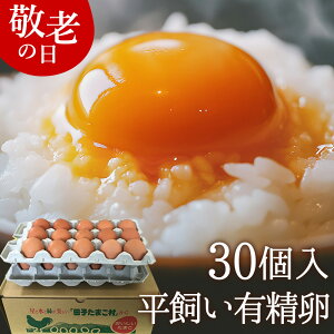 hV̓    L  Mtgy30(25+jۏ5)z gC ̂ J[h ŃXgXȂ̂т̂ш{YތN H