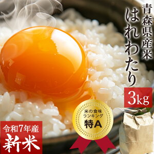 V ߘa7NY 3kg  XY ͂킽 A    3L Yn  v[g Hו pI Mtg  O Yn _̎R͔| ͂ Ԃ