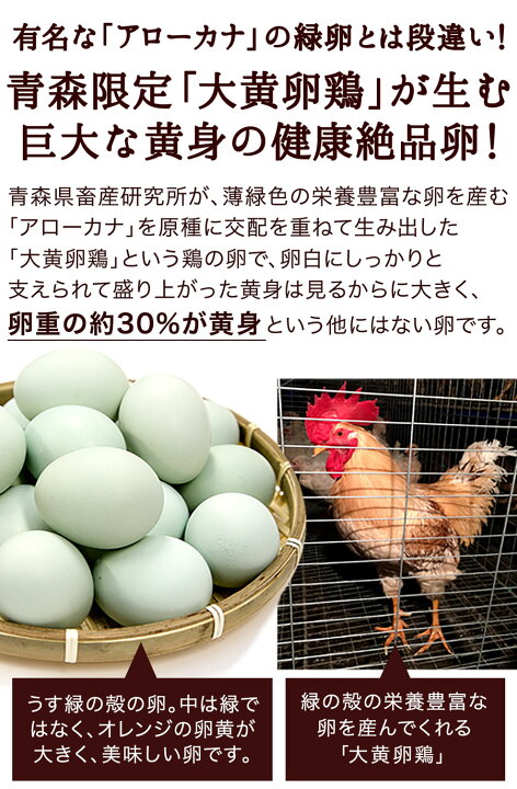 楽天市場 卵 玉子 たまご 高級 卵かけご飯に 緑の一番星 6個入り 3980円以上で送料無料 アローカナの青い卵が進化 大黄卵鶏が産む薄緑殻の高級栄養 タマゴ アスタキサンチン 30 黄身 肉体改造 ダイエット お取り寄せグルメ 田子たまご村 楽天市場店