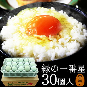    ΂̈Ԑ ܂ Mtgy30(25+jۏ5)z A[Ji 剩{Y  uh ΂̗ gC ̂ J[h Hו TV Љ 