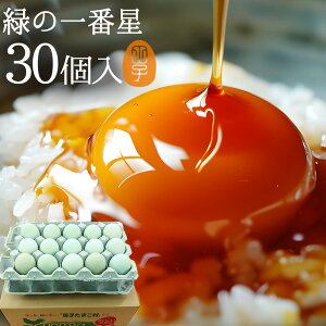    ΂̈Ԑ ܂ Mtgy30(25+jۏ5)z A[Ji 剩{Y  uh ΂̗ gC ̂ J[h Hו TV Љ 