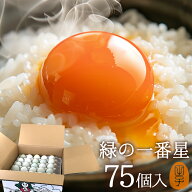 卵 生卵 高級卵 贈答 緑の一番星 たまご ギフト【生卵75個入(生卵60個+破損保証15個)】卵かけご飯 アロー…