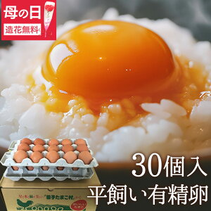 ��̓� �� ���� ������ ���� �L���� ������ ���܂� �M�t�g�y����30��(����25��+�j���ۏ�5��)�z���������� �g���C�� �̂� �J�[�h���� �������ŃX�g���X�Ȃ��̂т̂ш�����{���Y�ތ��N�� �H