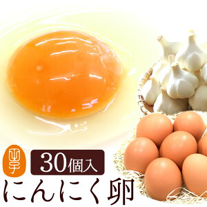    ɂɂ ܂y30(25+jۏ5)z gC ̂ J[h ÂLjjNL X̓Yɂɂň{YތN Hו M