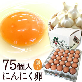 にんにく卵【生卵75個入(生卵60個+破損保証15個)】卵 玉子 たまご 高級 卵かけご飯に ギフト 青森の特産にんにくを食べて育った鶏が産む健康タマゴ 肉体改造 ダイエット 生卵を飲む方に 養健卵 プレゼント お取り寄せグルメ 結婚祝い 母の日 入学祝い