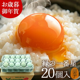 御年賀 お年賀 ギフト 卵 生卵 高級 緑の一番星 たまご 【生卵20個入(生卵16個+破損保証4個)】卵かけご飯 アローカナ 大黄卵鶏が産む 青い卵 ブランド卵 緑の卵 トレイ入 のし カード無料 食べ物 プレゼント お取り寄せ グルメ 玉子 2026