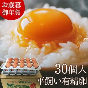 Ε Mtg    L y30(25+jۏ5)z gC ̂ J[h ŃXgXȂ̂т̂ш{YތN Hו