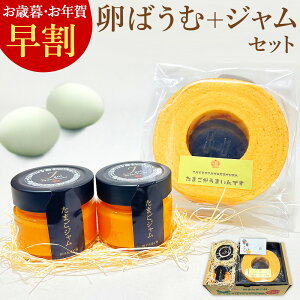 Ε 30%OFF Mtg ΂̈ԐՂ΂(z[)Ƃ܂WZbg XC[c  َq ̂ J[h lC j Ԃ v[g  O 