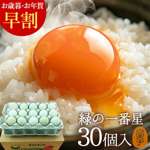 Ε 20%OFF Mtg    ΂̈Ԑ ܂y30(25+jۏ5)z A[Ji 剩{Y  uh ΂̗ gC ̂ J[h TV