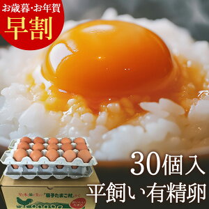 Ε 20%OFF Mtg    L y30(25+jۏ5)z gC ̂ J[h ŃXgXȂ̂т̂ш{YތN