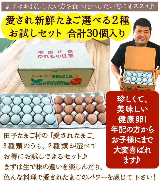 楽天市場】卵 玉子 たまご 高級 卵かけご飯に 新鮮愛されたまご2種選べるセット合計30個(生卵25個+破損保証5個) 緑の一番星 15個入+にんにく卵 or平飼い有精卵15個入 お試し 食べ比べ ギフト 送料無料 青い卵 お取り寄せ グルメ : 田子たまご村 楽天市場店 楽天市場】卵 玉子 たまご 高級 卵かけご飯に 新鮮愛されたまご2種選べるセット合計30個(生卵25個+破損保証5個) 緑の一番星 15個入+にんにく卵 or平飼い有精卵15個入 お試し 食べ比べ ギフト 送料無料 青い卵 お取り寄せ グルメ : 田子たまご村 楽天市場店