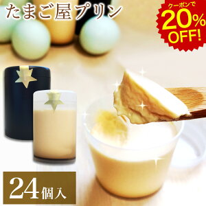 [N[|20%OFF!12/11 1:59]΂̗v  XC[cy24z(2A2)×6Zbg v  ܂ Mtg ΂̈Ԑgp v[g uh h{ VN mَq  RN