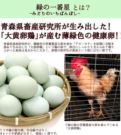 楽天市場 ギフト 敬老の日遅れてごめんね 送料無料 プレゼント スイーツ 手作り 卵プリン8個 化粧箱入り メディアで話題 新鮮緑の一番星使用 濃厚な風味 とろける口当たりスイーツ クール便発送 食べ物 実用的 21 70代 おじいちゃん おばあちゃん 田子たまご村 楽天市場 ギフト 敬老の日遅れてごめんね 送料無料 プレゼント スイーツ 手作り 卵プリン8個 化粧箱入り メディアで話題 新鮮緑の一番星使用 濃厚な風味 とろける口当たりスイーツ クール便発送 食べ物 実用的 21 70代 おじいちゃん おばあちゃん 田子たまご村