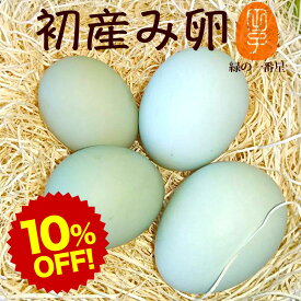 楽天スーパーSALE 10%OFF 初産み卵 緑の一番星【生卵30個入(生卵25個+破損保証5個)】(トレイ入 小さめサイズ) 卵 玉子 たまご 高級 卵かけご飯に 期間限定の縁起物 雑誌掲載テレビで話題 緑の高波動 ギフト 送料無料 お取り寄せグルメ セール/SALE