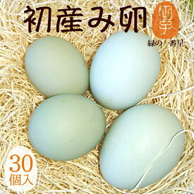 12%OFF! 初産み卵 緑の一番星【生卵30個入(生卵25個+破損保証5個)】(トレイ入 小さめサイズ) 卵 玉子 たまご 高級 卵かけご飯に 期間限定の縁起物 雑誌掲載テレビで話題 緑の高波動 ギフト 送料無料 お取り寄せグルメ 結婚祝い 母の日 入学祝い