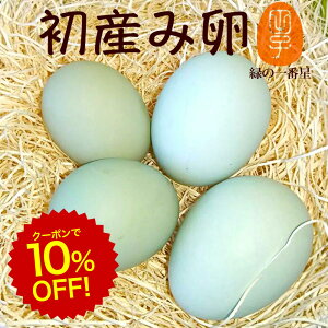 [N[|10%OFF!9/11 1:59]    ΂̈Ԑ Yݗ ܂ Mtgy30(25+jۏ5)zgC ߃TCY  A[Ji 剩{Y  ΂