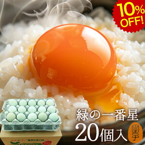 yVX[p[SALE 10%OFF    ΂̈Ԑ ܂ Mtgy20(16+jۏ4)z A[Ji 剩{Y  uh ΂̗ gC ̂ J[h