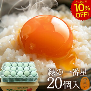 [N[|10%OFF!9/11 1:59]    ΂̈Ԑ ܂y20(16+jۏ4)z A[Ji 剩{Y  uh ΂̗ gC ̂ J[h 
